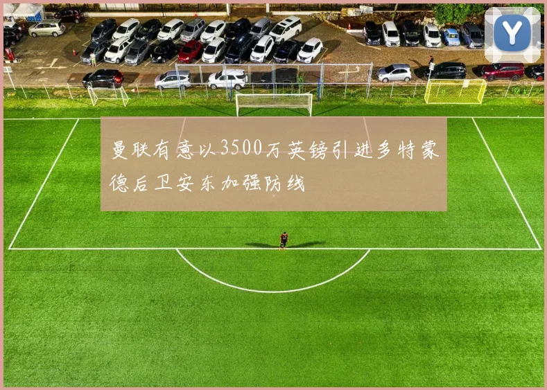 曼联有意以3500万英镑引进多特蒙德后卫安东加强防线