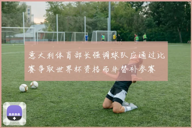 意大利体育部长强调球队应通过比赛争取世界杯资格而非替补参赛